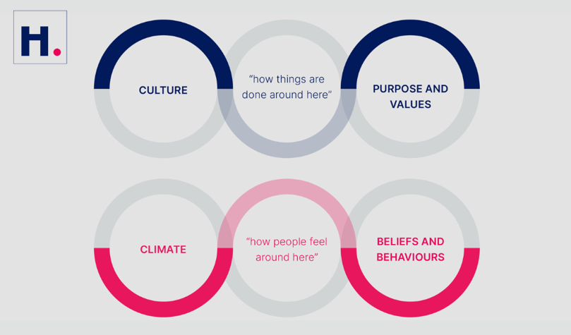 Culture v Climate - 1020x600